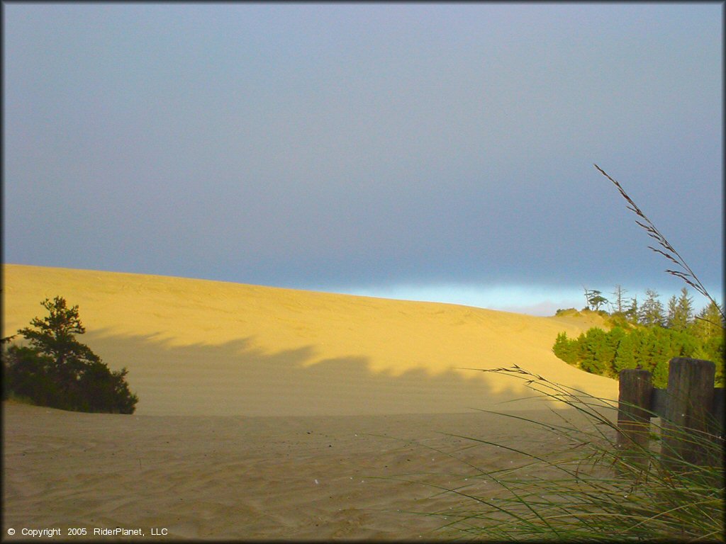 Oregon Dunes NRA - Florence Dune Area