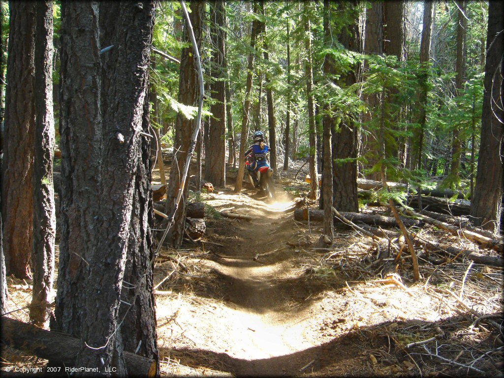 Honda CRF Dirtbike at Corral OHV Trail