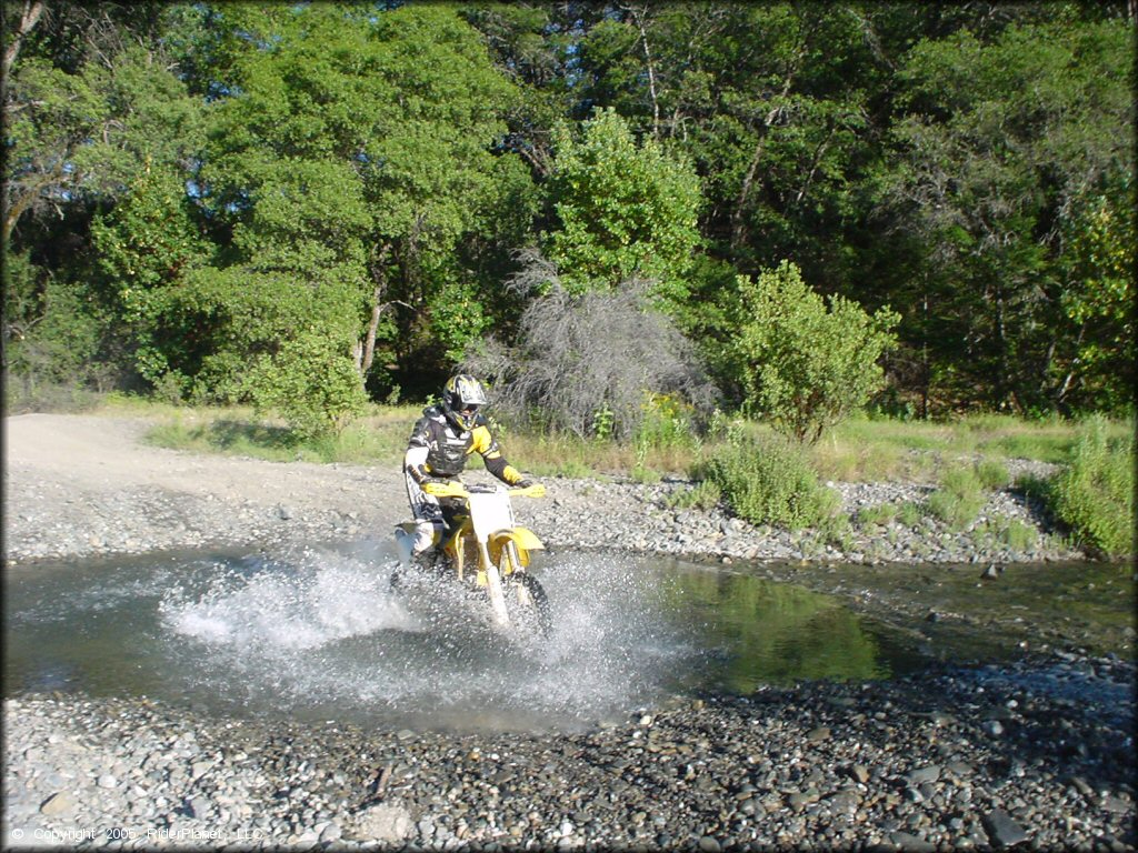 Penny Pines Trail