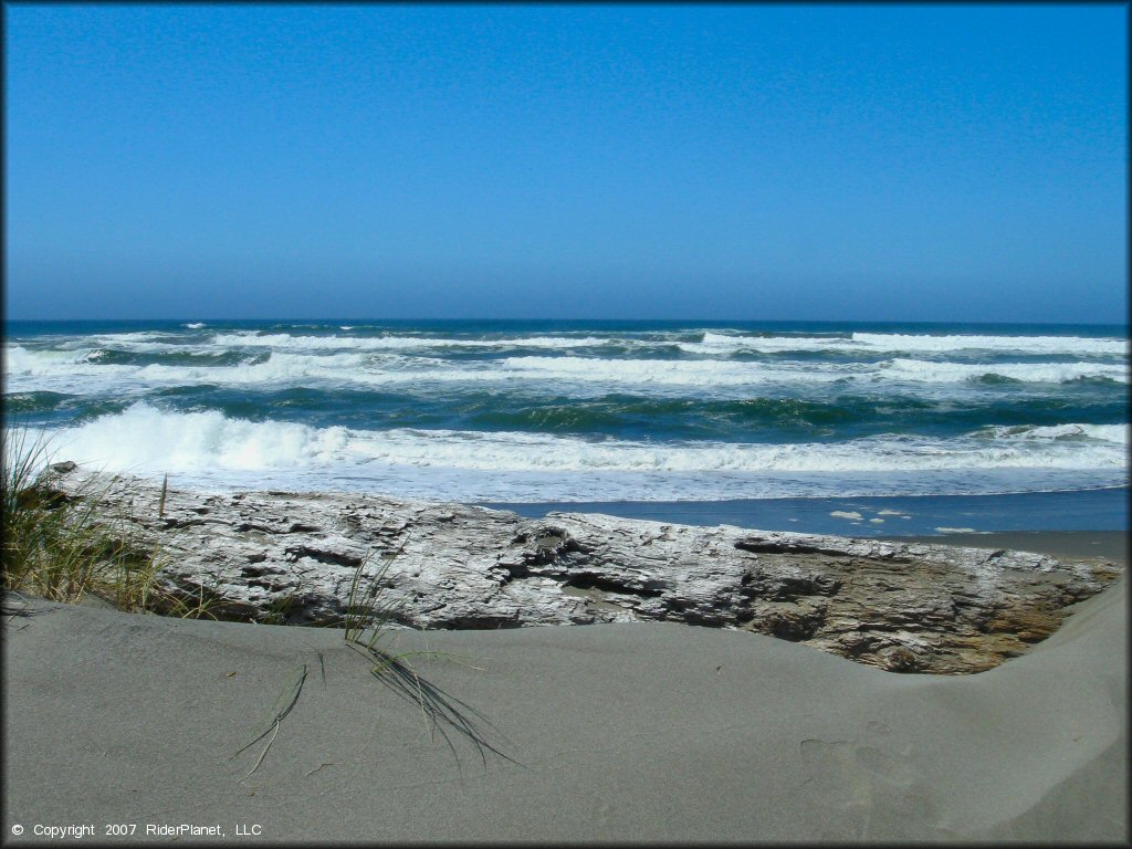 Scenery from Samoa Sand Dunes OHV Area