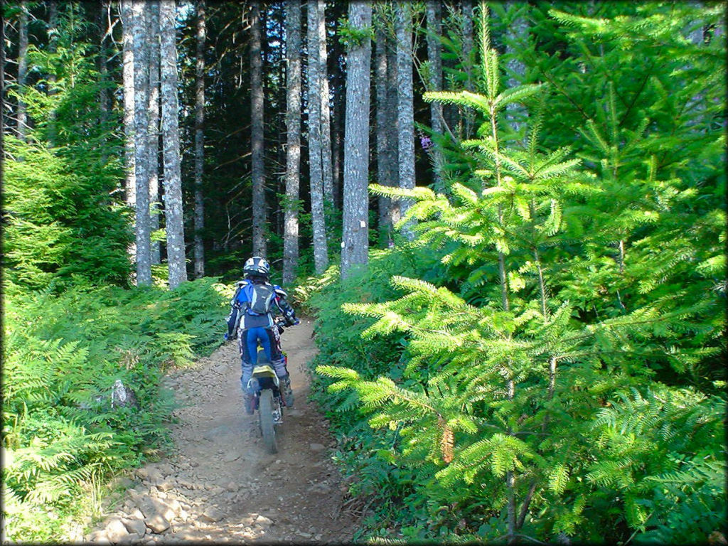 Woman wearing blue Acerbis trail riding gear and CamelBak.