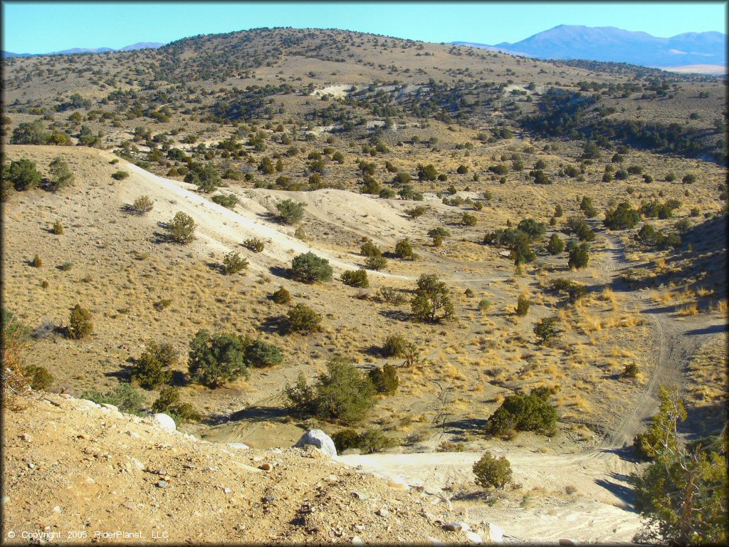 Scenic view of Johnson Lane Area Trail