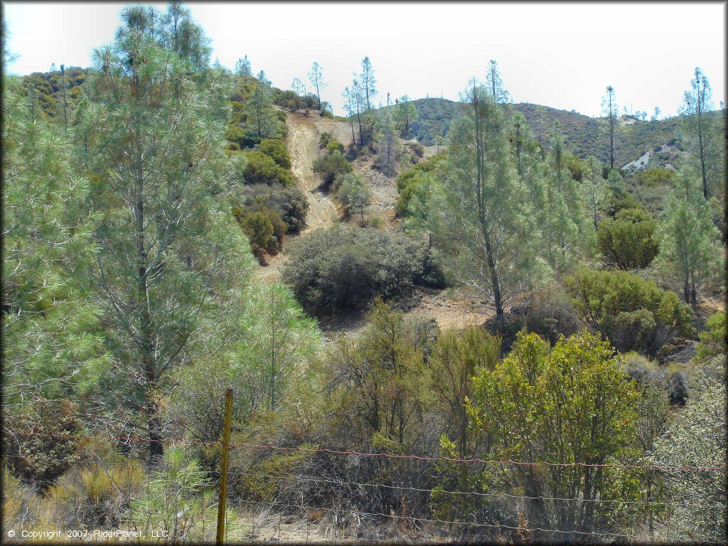 Scenic view of Clear Creek Management Area Trail