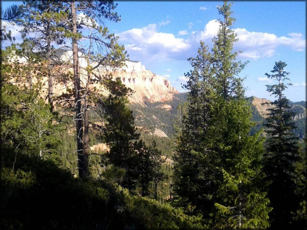 Pine Lake OHV Trail