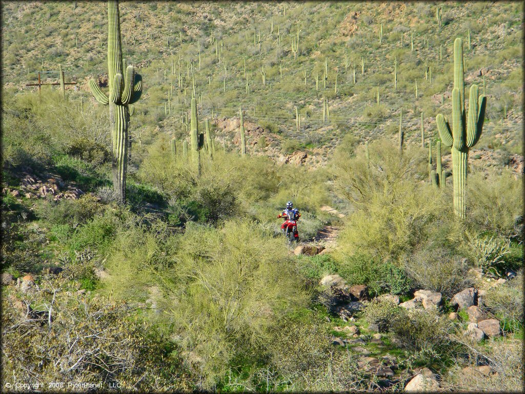 Honda CRF Dirt Bike at Bulldog Canyon OHV Area Trail