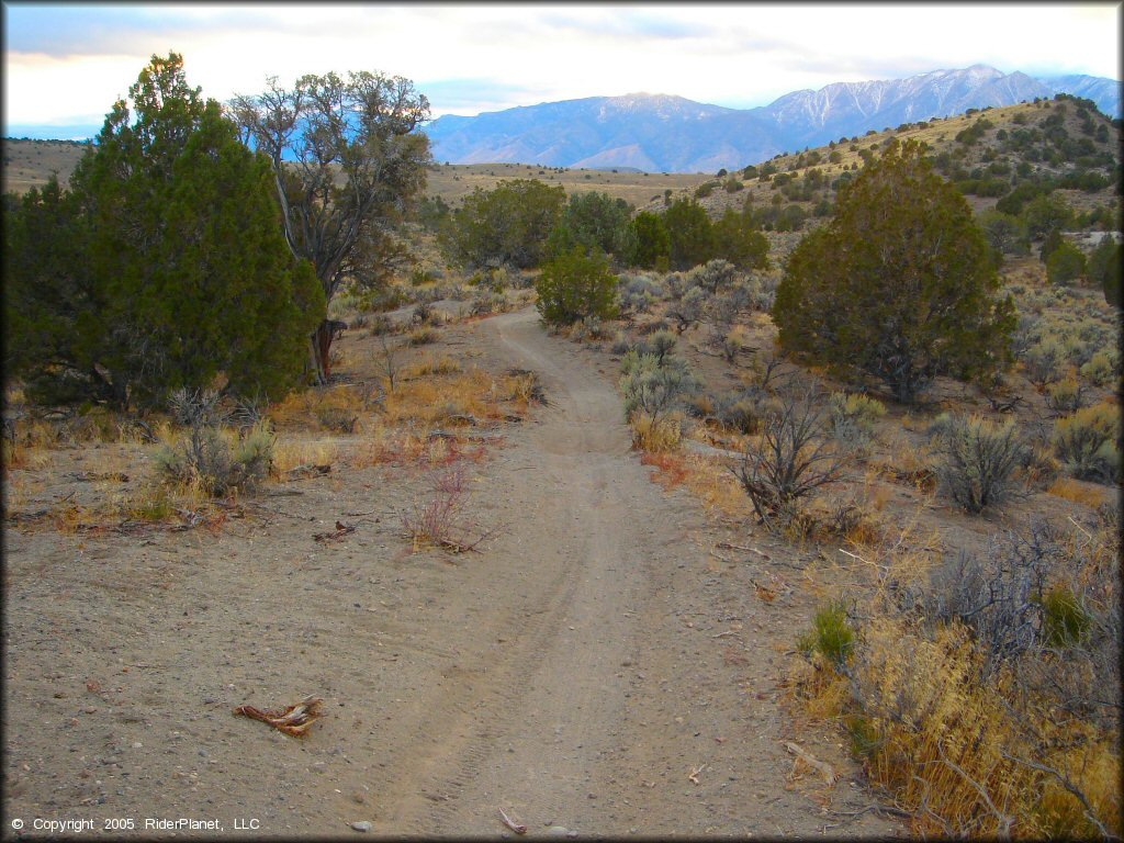 A trail at Mount Seigel OHV Trails