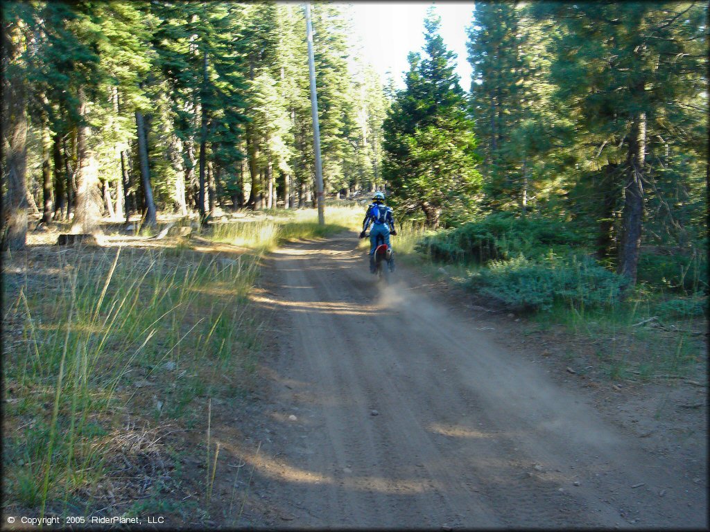 Honda CRF Dirt Bike at Black Springs OHV Network Trail