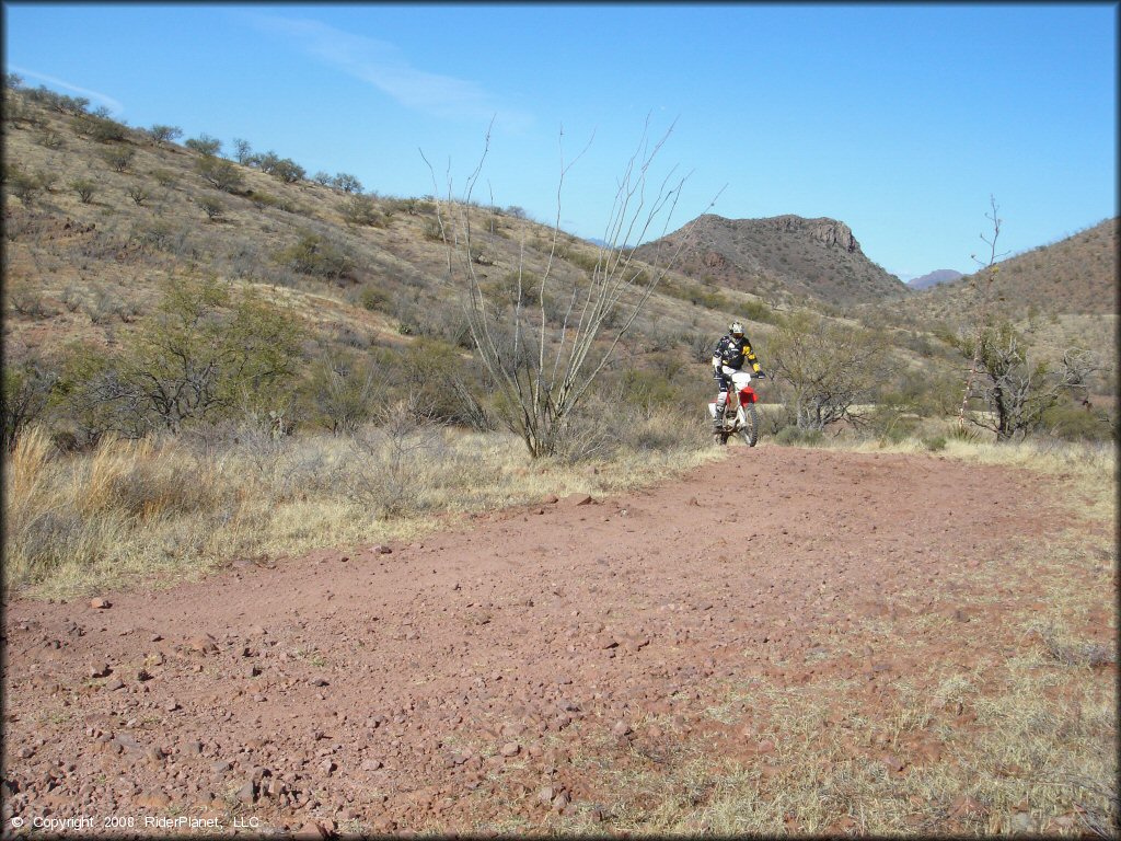 Honda CRF Dirtbike at Red Springs Trail