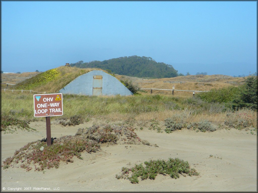 Example of terrain at Samoa Sand Dunes OHV Area