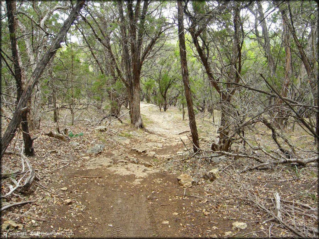 Terrain example at Emma Long Metropolitan Park Trail