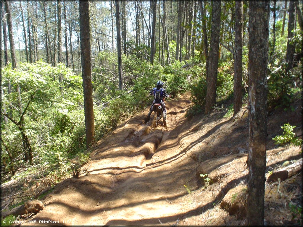 Honda CRF Motorcycle at South Cow Mountain Trail