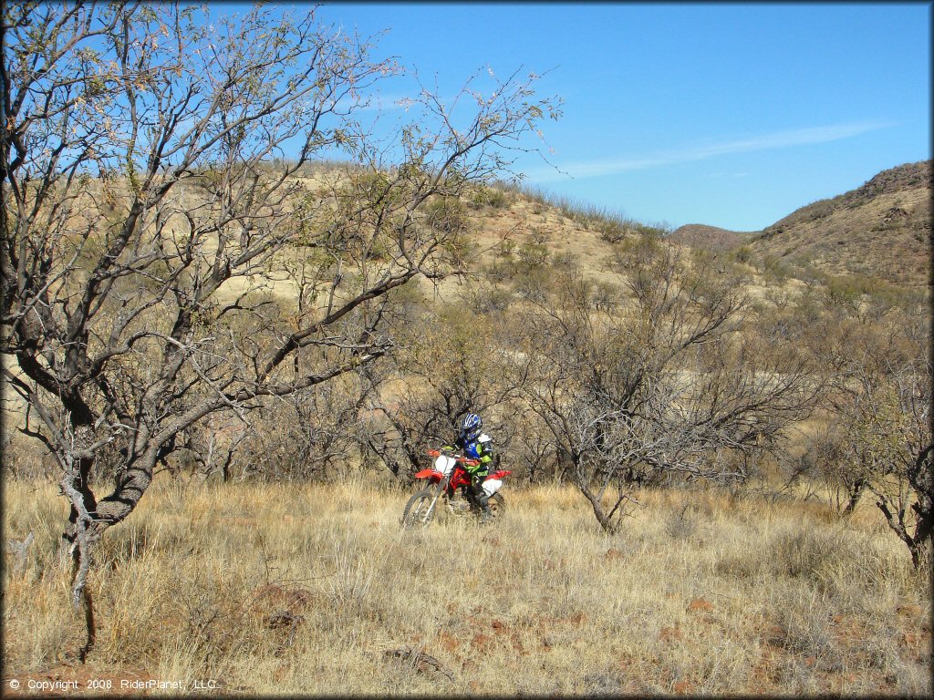 Honda CRF Motorbike at Red Springs Trail