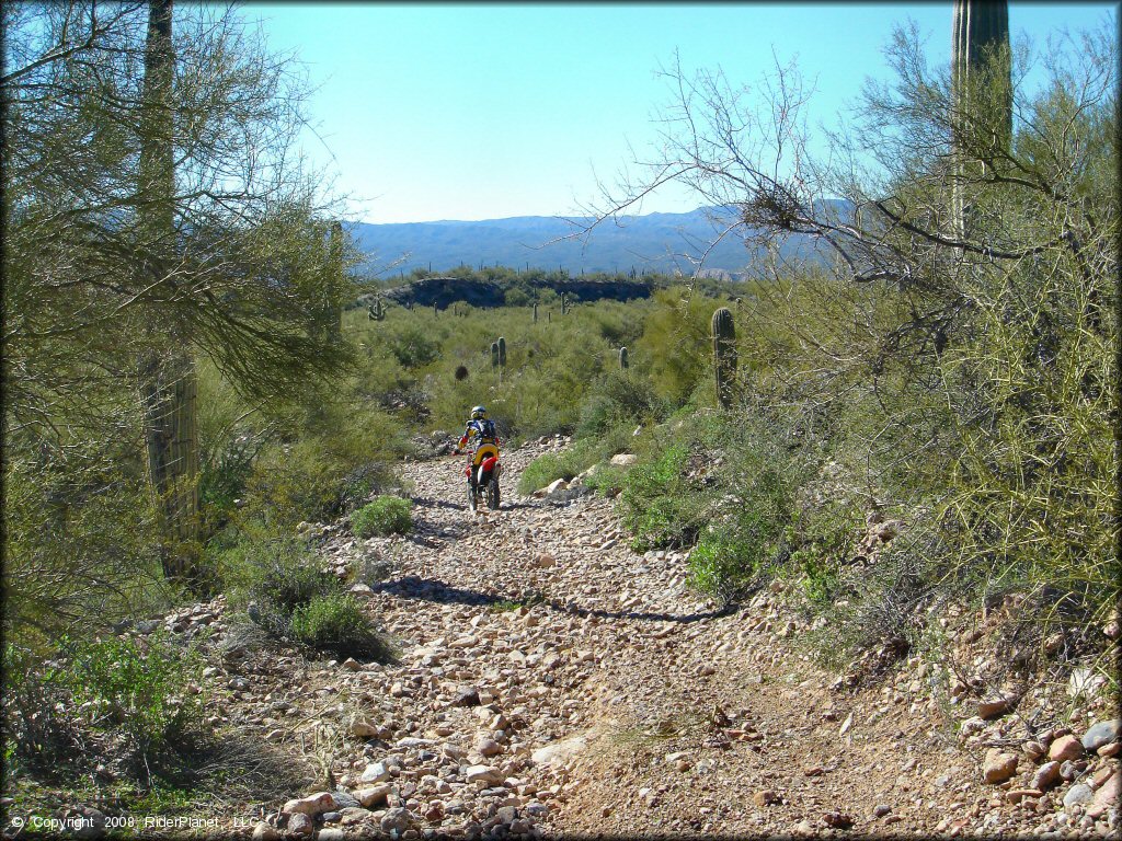 Honda CRF Motorbike at Mescal Mountain OHV Area Trail