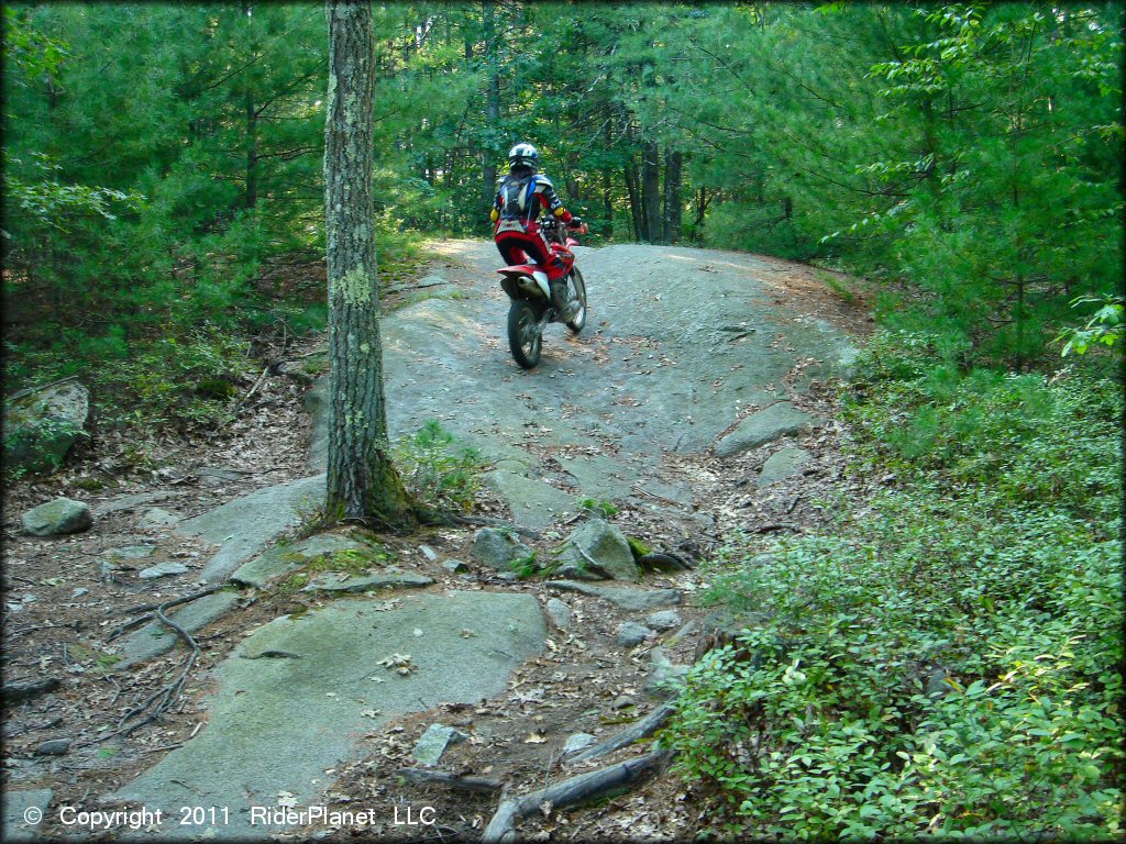 OHV at F. Gilbert Hills State Forest Trail