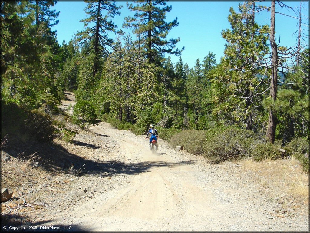 Honda CRF Dirt Bike at Gold Note Trails