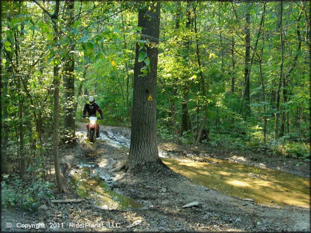 OHV in the water at Freetown-Fall River State Forest Trail