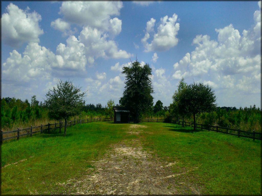 Mallory Swamp ATV Trail