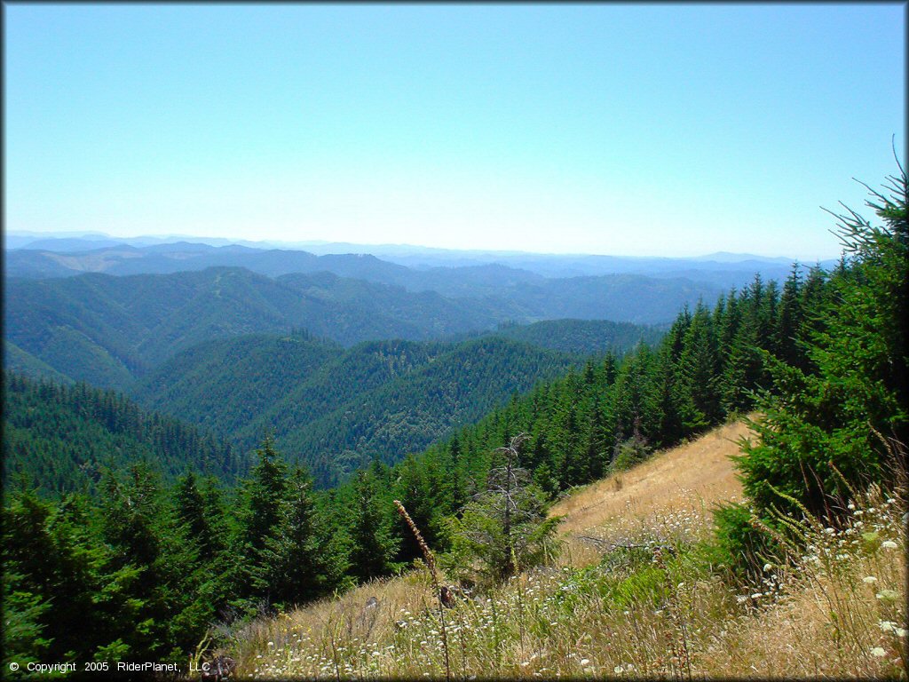 Scenery at Prairie Peak Trail