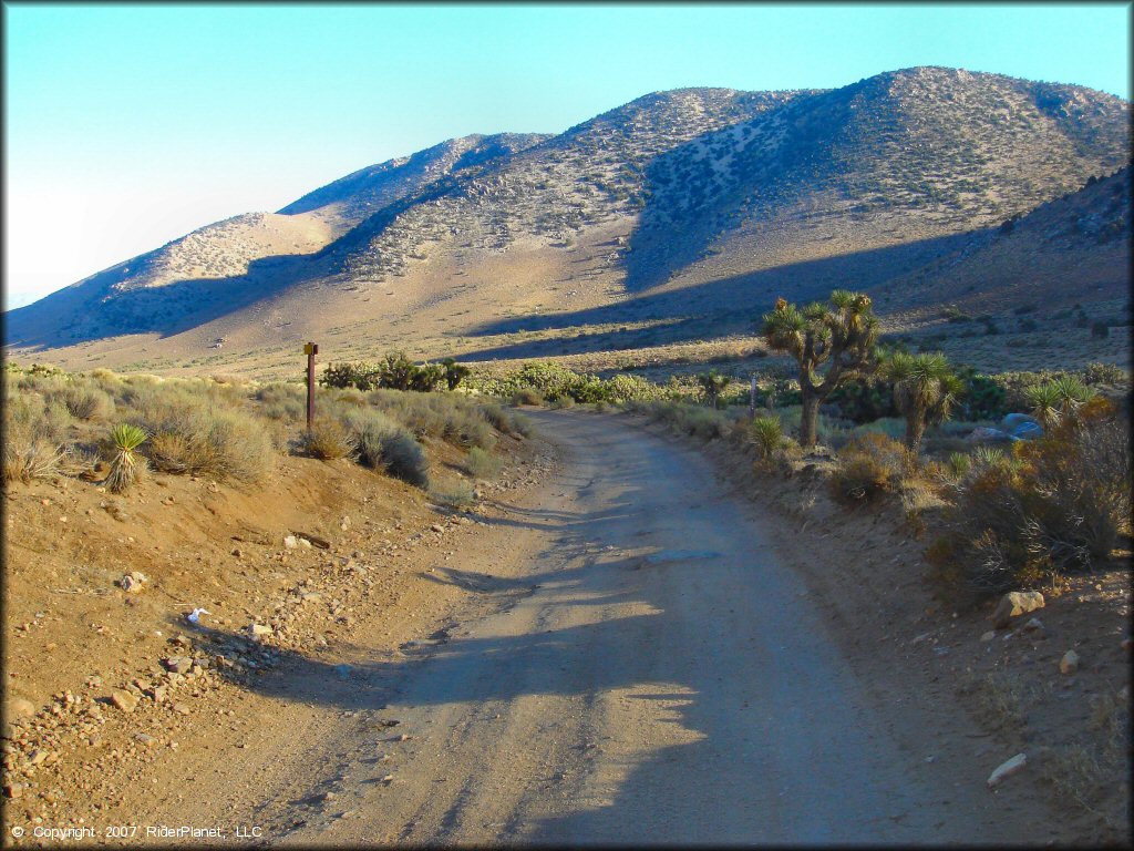 A trail at Dove Springs Trail