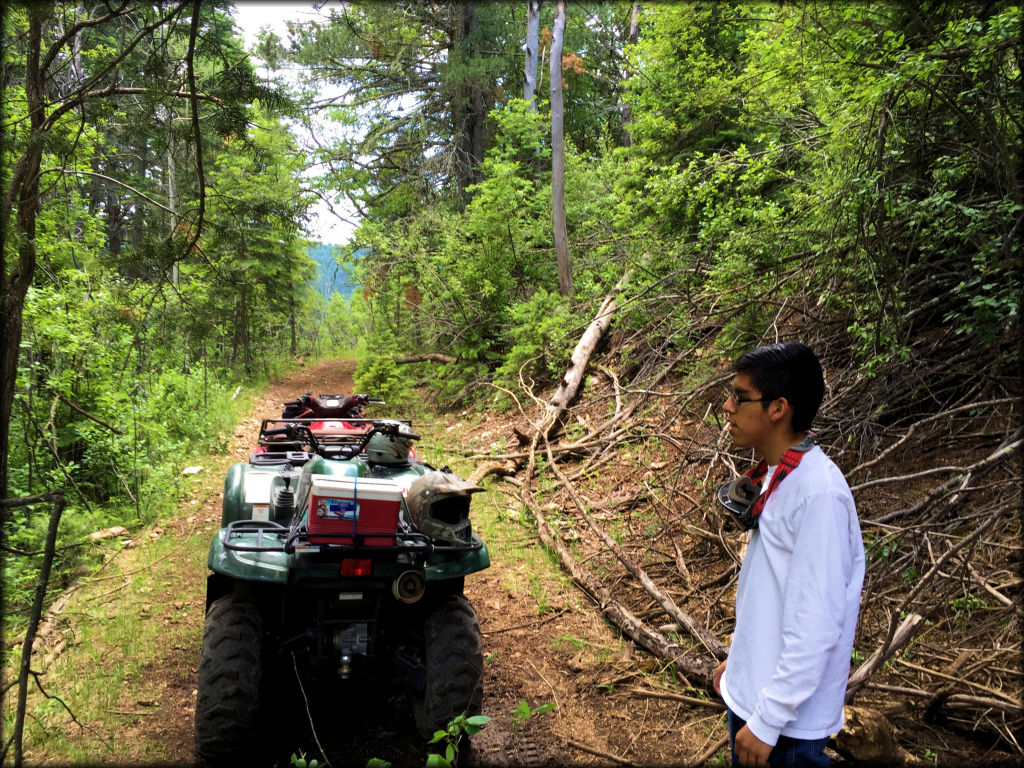 Benson Ridge Trail