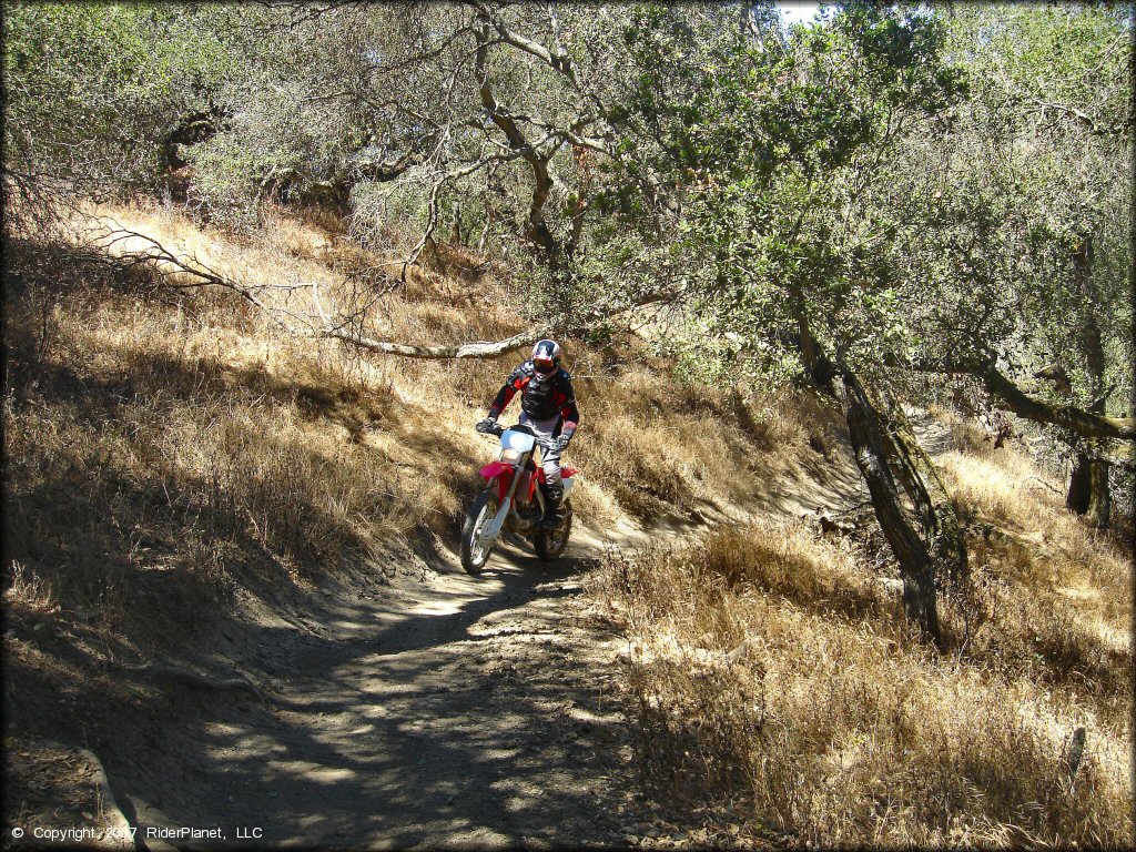 Honda CRF Motorbike at Santa Clara County Motorcycle Park OHV Area