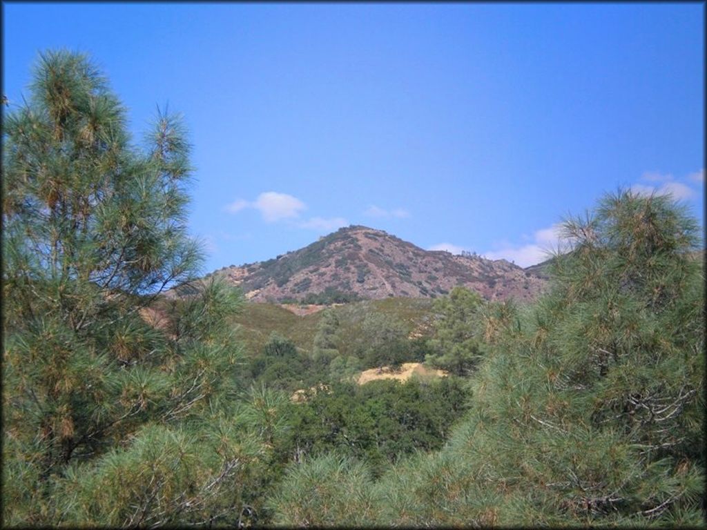 Condon Peak Trail