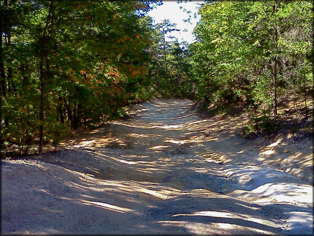 Section of hardpacked OHV trail.