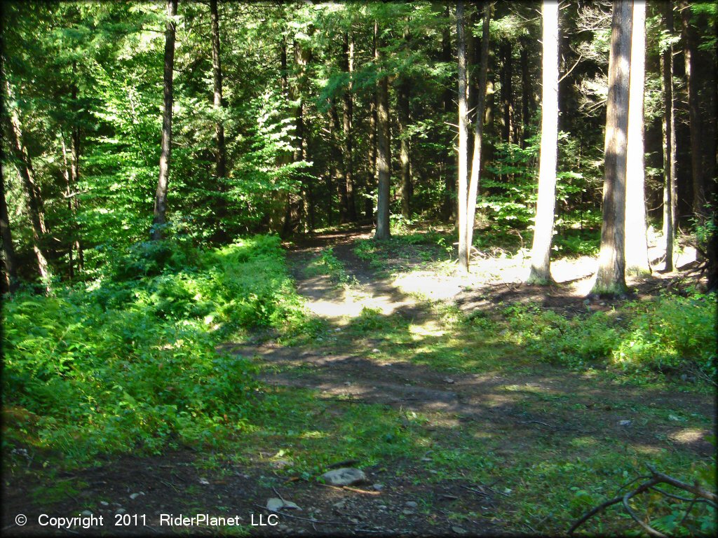 Terrain example at Camden ATV Trail