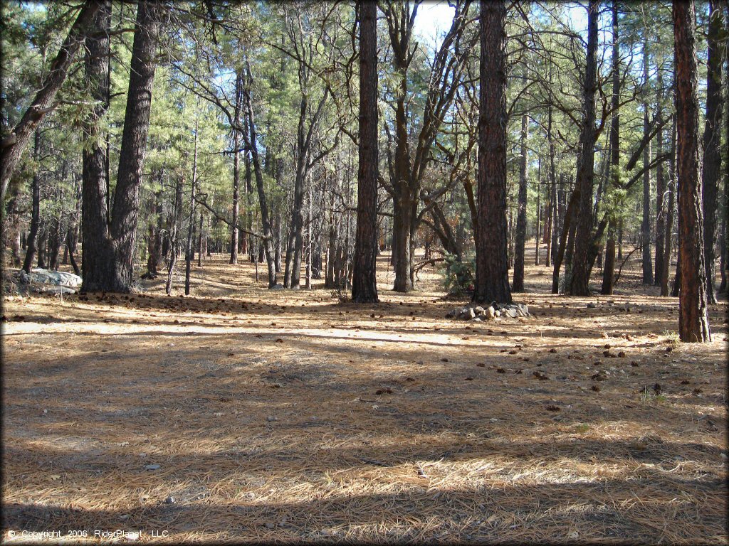 RV Trailer Staging Area and Camping at Sheridan Mountain Smith Mesa OHV Trail System