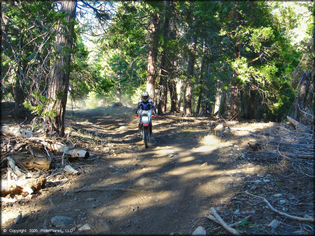 Honda CRF Dirtbike at Black Springs OHV Network Trail