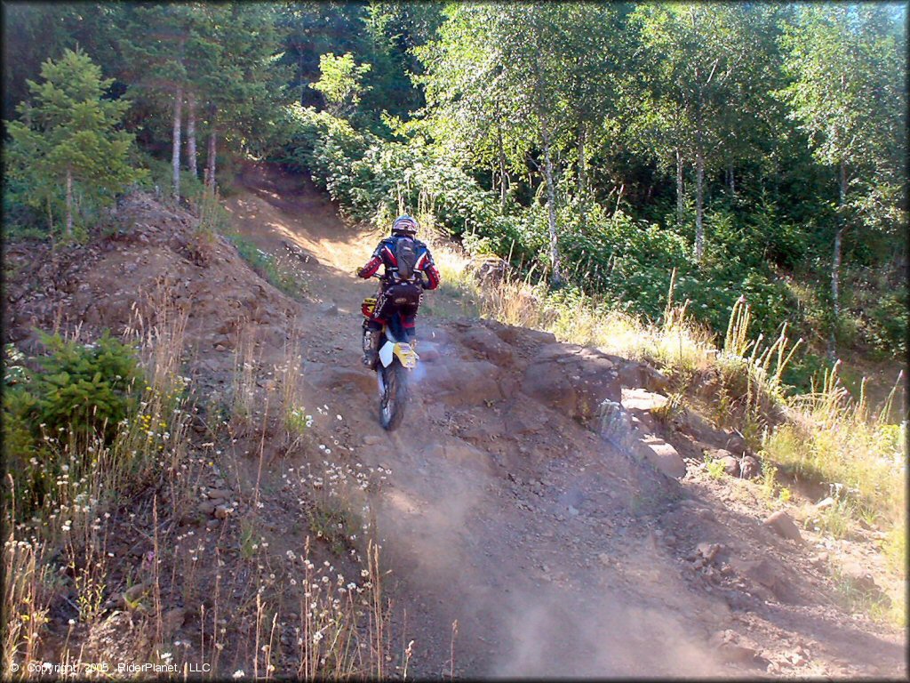 OHV at Upper Nestucca Motorcycle Trail System