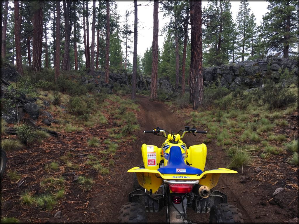 East Fort Rock OHV Trail System