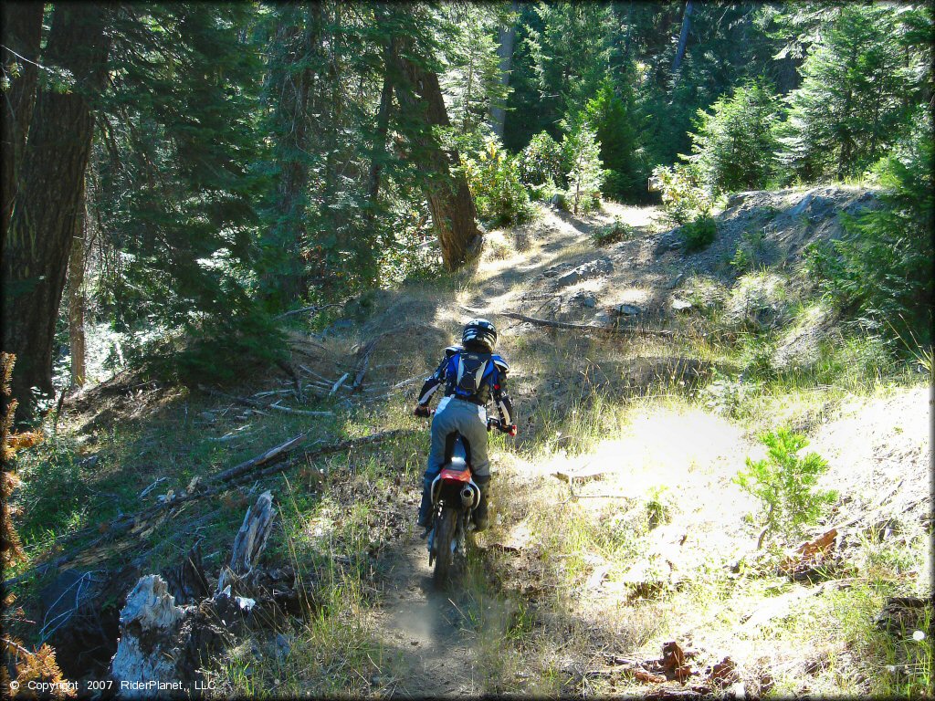 Girl riding a Honda CRF Motorcycle at Pilot Creek OHV Trails