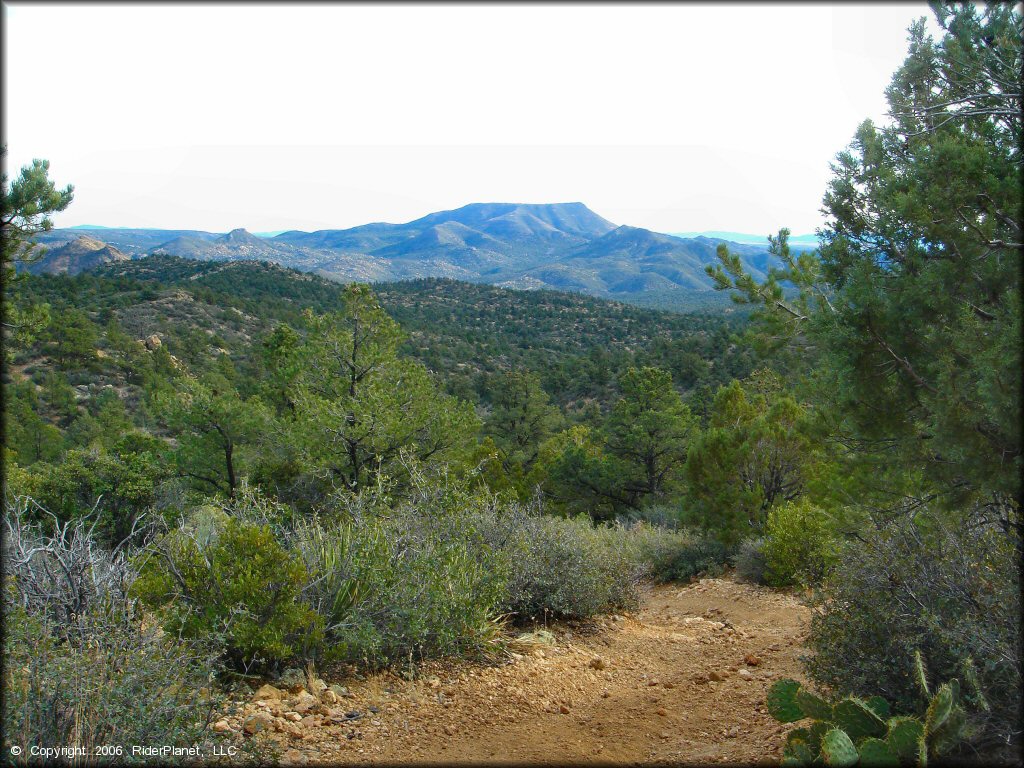 Scenic view of Sheridan Mountain Smith Mesa OHV Trail System
