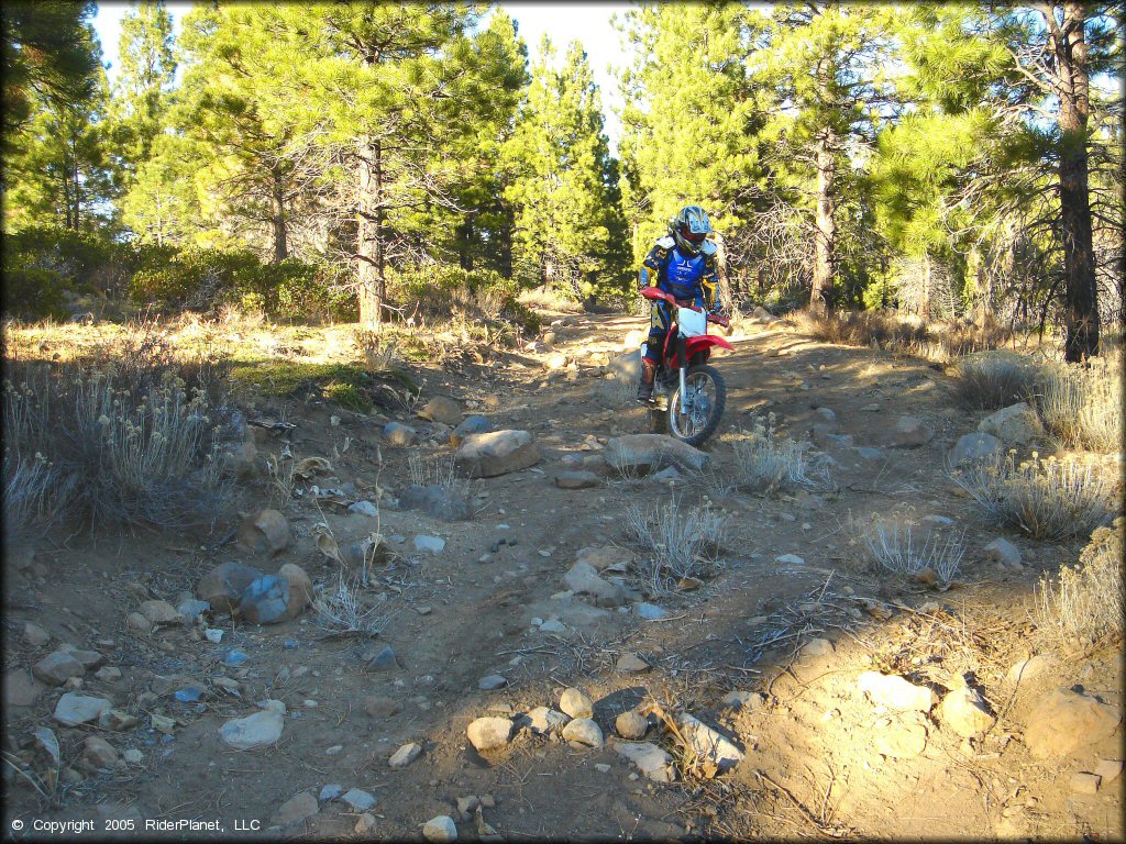 OHV at Billy Hill OHV Route Trail