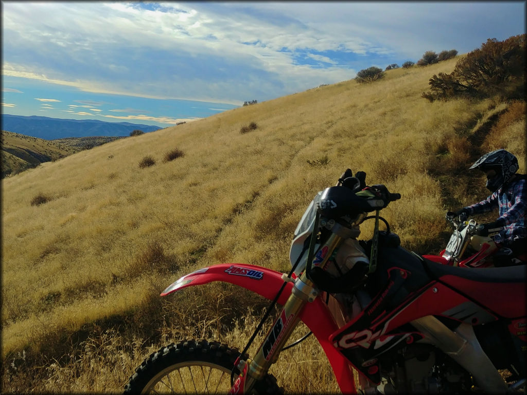 Saddle Mountain Trail