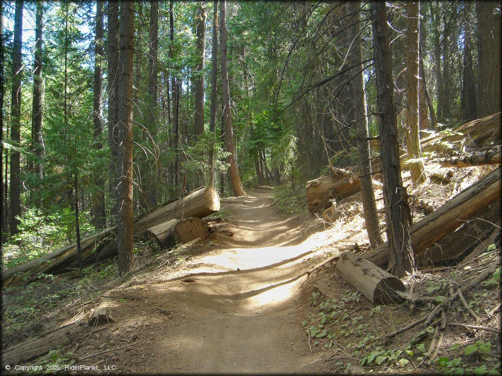 Elkins Flat OHV Routes Trail