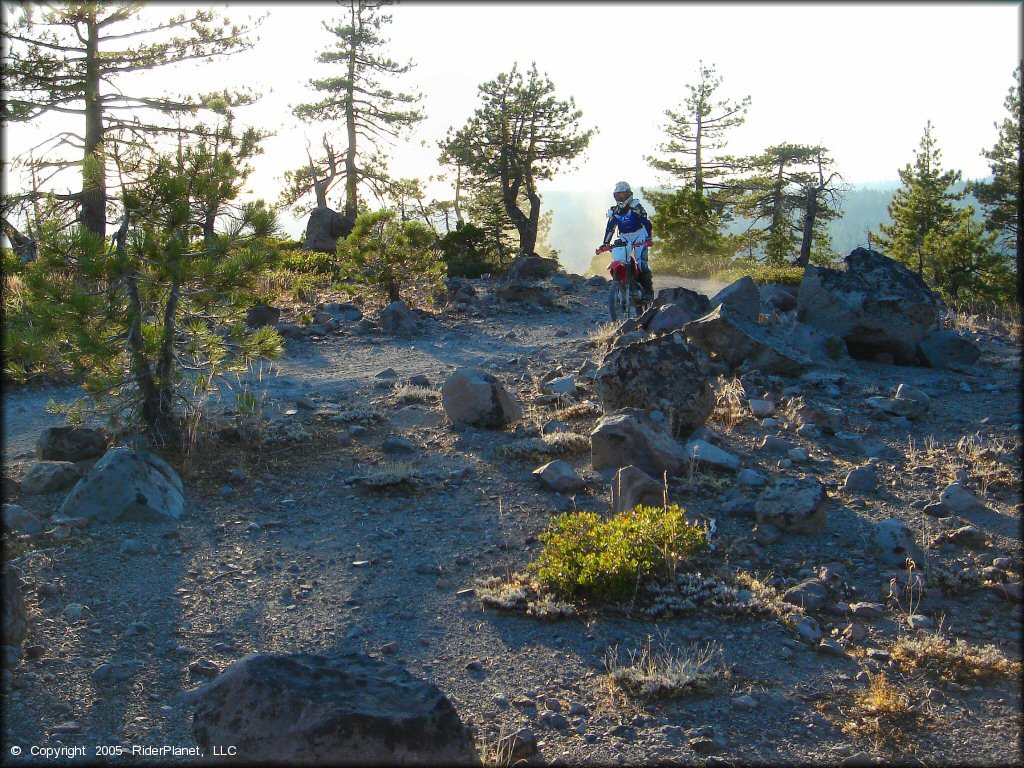 Honda CRF Motorbike at Black Springs OHV Network Trail