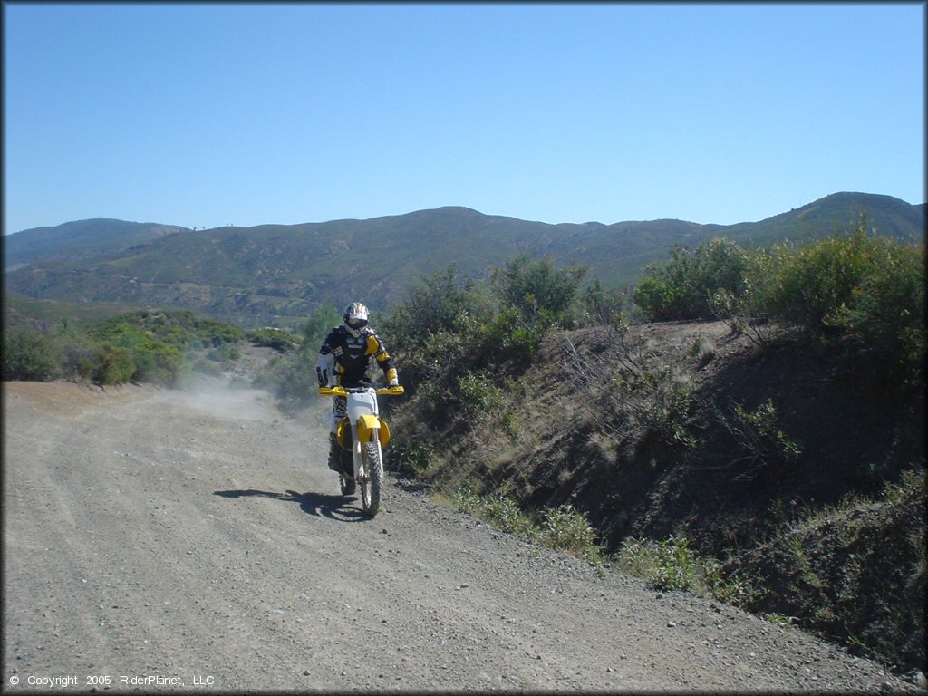 Suzuki RM250 dirt bike with rider wearing yellow and black motocross gear riding down forest service road.