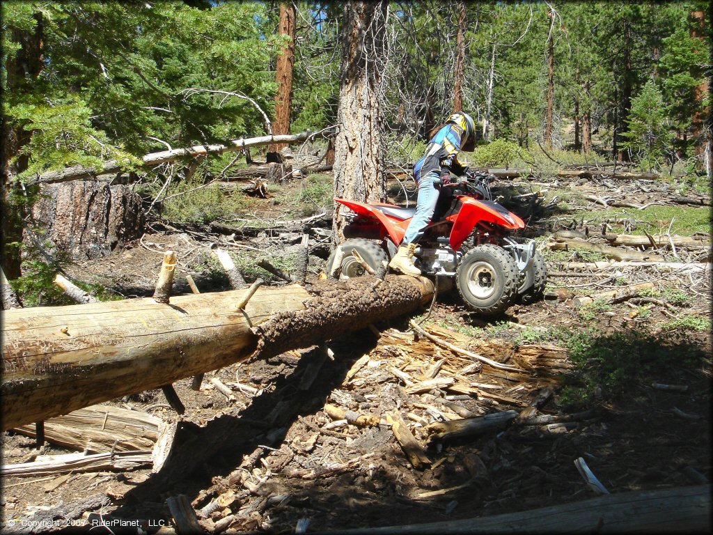 Female rider on a Honda ATV at South Camp Peak Loop Trail