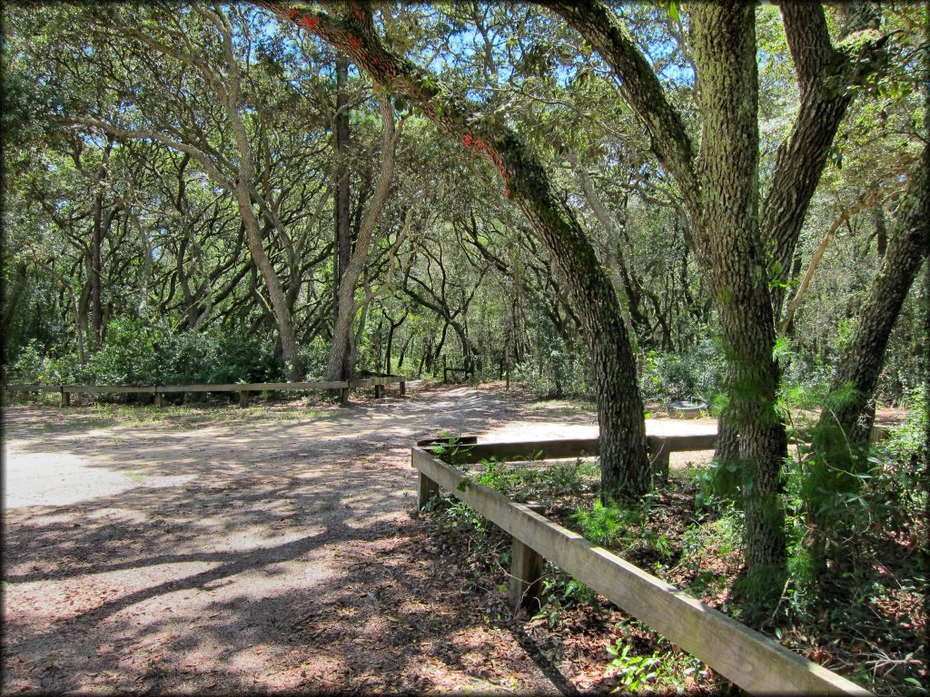 Wandering Wiregrass OHV Trail