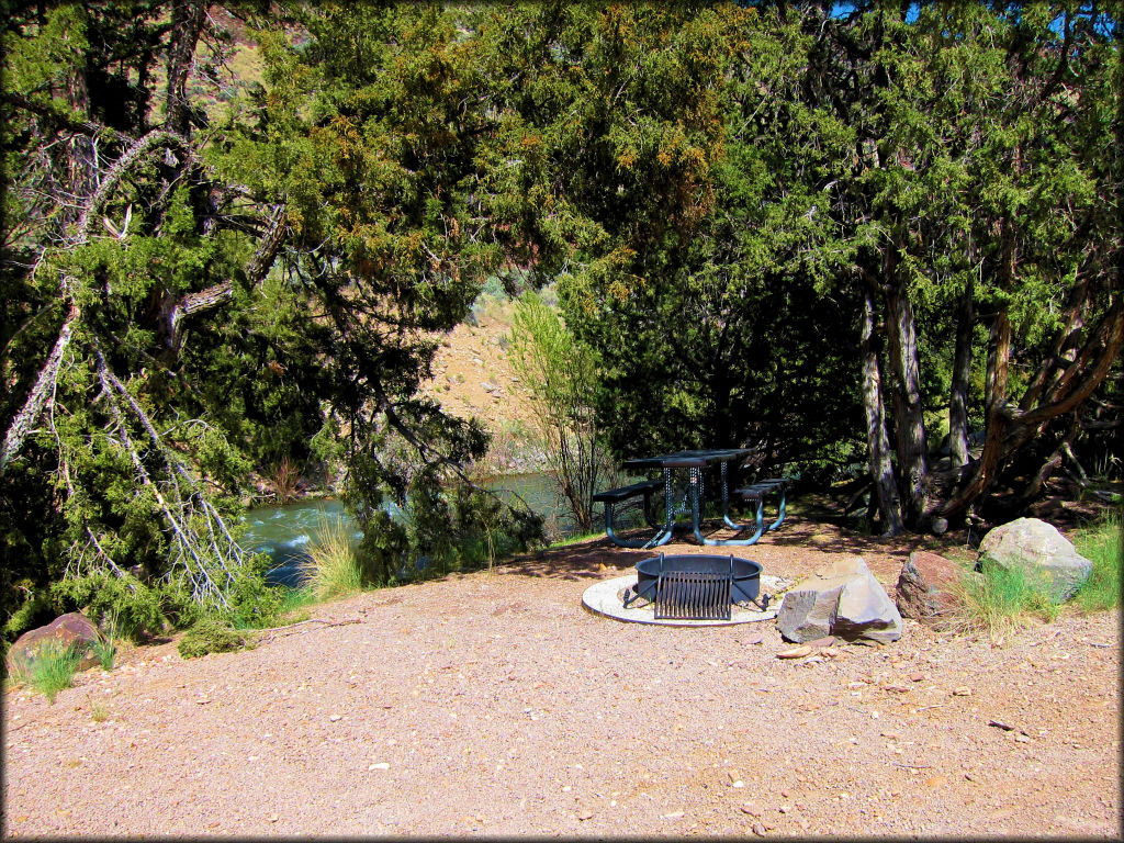 Campsite with fire ring, picnic table and shady trees overlooking the East Fork Jarbidge River.