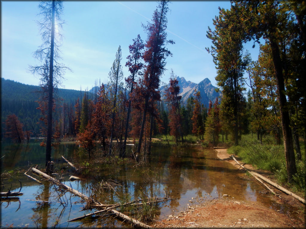 Stanley Lake Trail