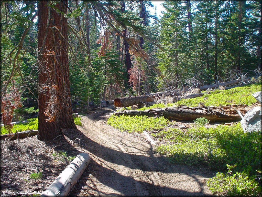 Terrain example at Genoa Peak Trail