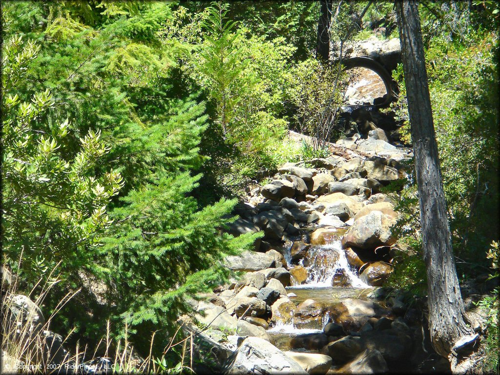 Scenery at High Dome Trail