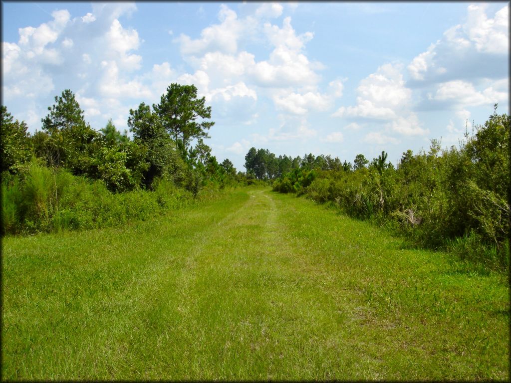 Mallory Swamp ATV Trail