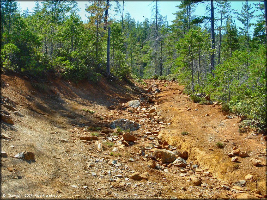 Example of terrain at Rattlesnake Ridge Area Trail