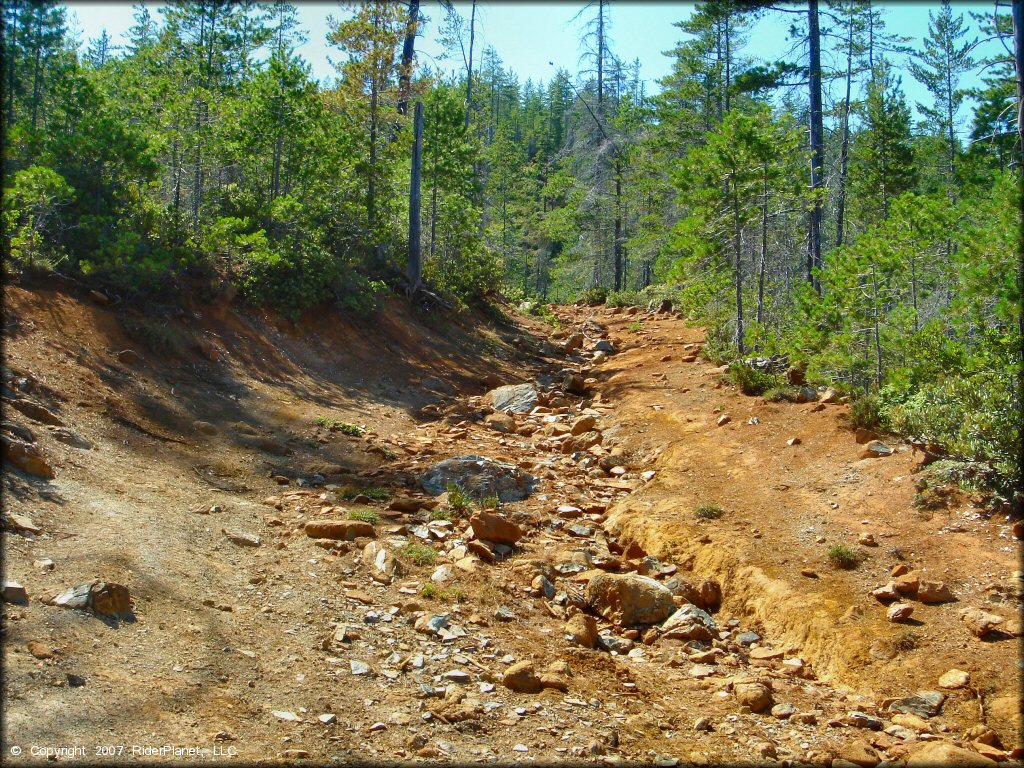 Terrain example at Rattlesnake Ridge Area Trail