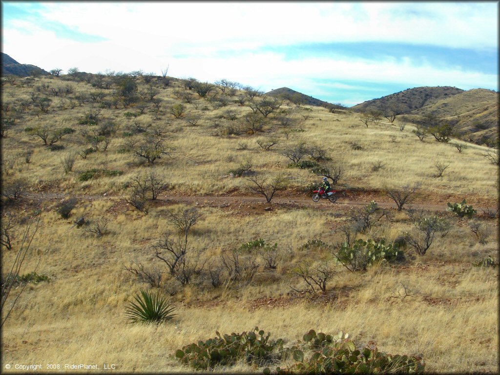 Girl on a Honda CRF Dirt Bike at Santa Rita OHV Routes Trail