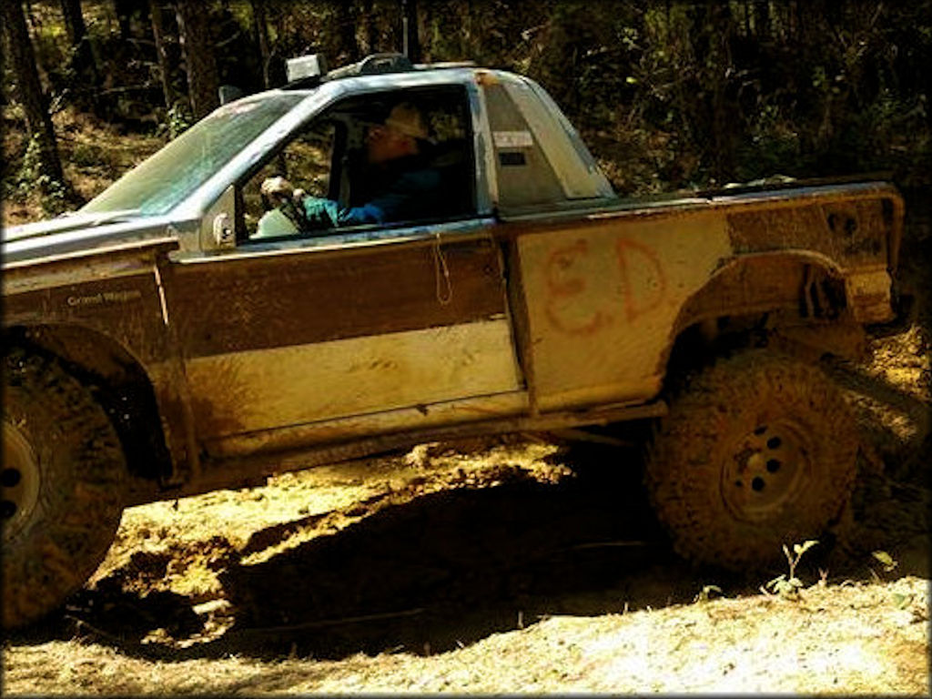 The Swamp Offroad Park Trail